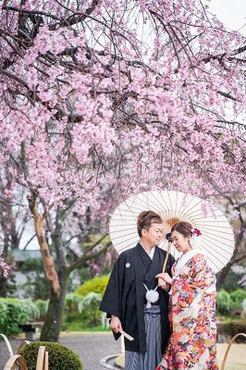 桜シーズン【3/26～4/10土日祝撮影限定】和装弐点プラン 衣装2着・データ230枚　衣装差額無し！