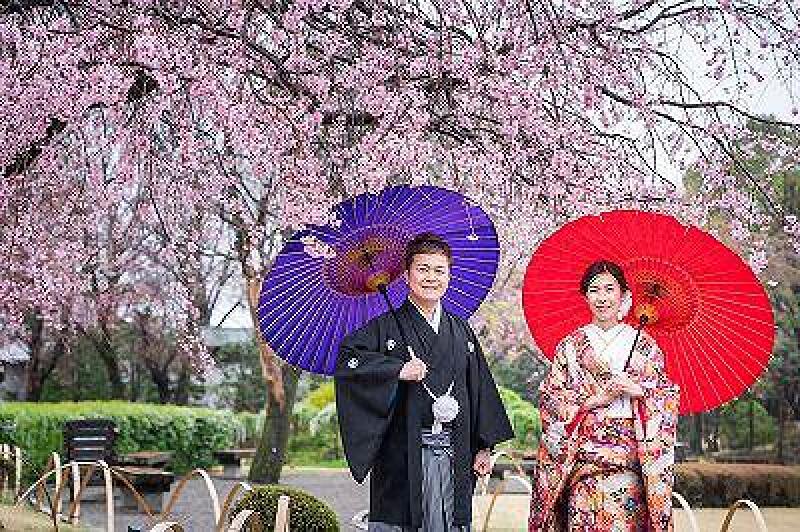 桜シーズン【3/26～4/10土日祝撮影限定】和装弐点プラン 衣装2着・データ230枚　衣装差額無し！