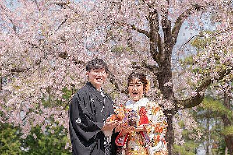 桜シーズン【3/26～4/10土日祝撮影限定】和装弐点プラン 衣装2着・データ230枚　衣装差額無し！