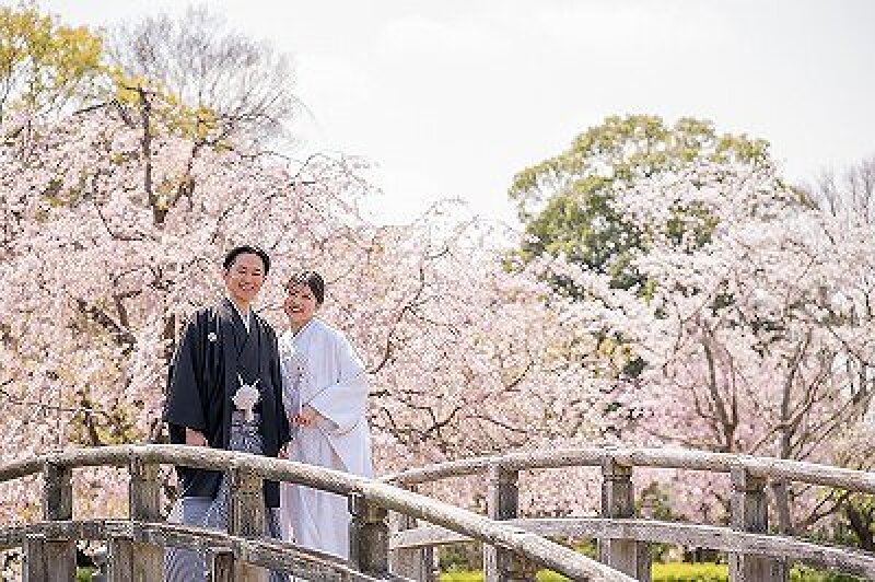 桜シーズン【3/26～4/10土日祝撮影限定】和装壱点プラン 衣装1着・データ130枚　衣装差額無し！