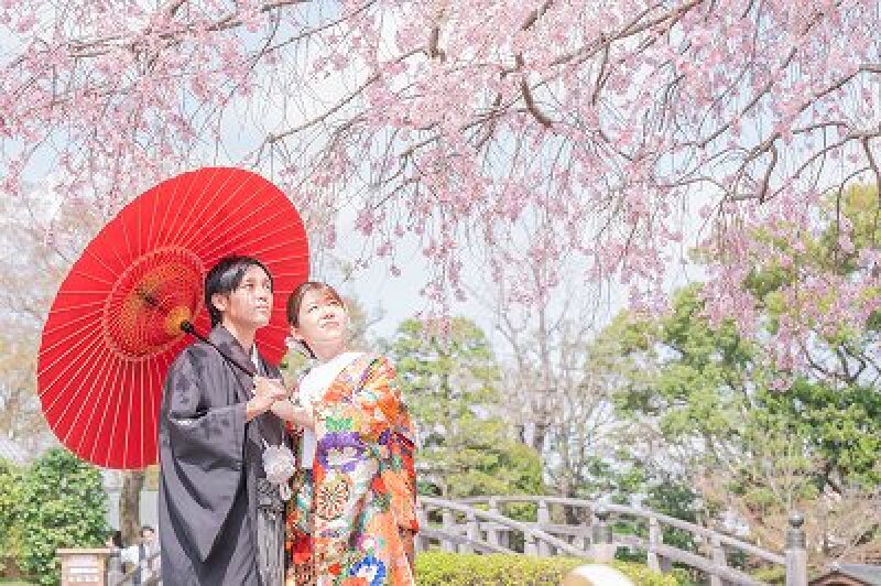 【春CP】2万円OFF！3/26～4/10撮影　和装壱点プラン　花田・市民の森・大宮第二公園♪　「残りわずか！先着20組限定　