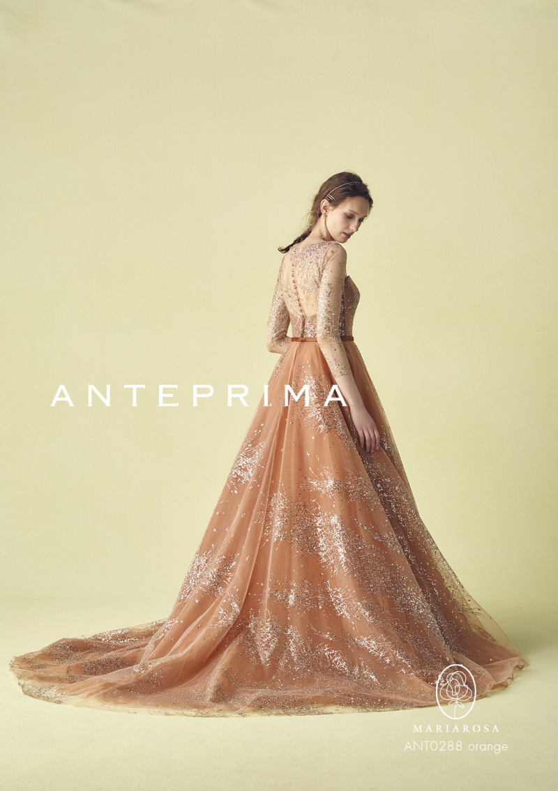 ANT0288-orange
