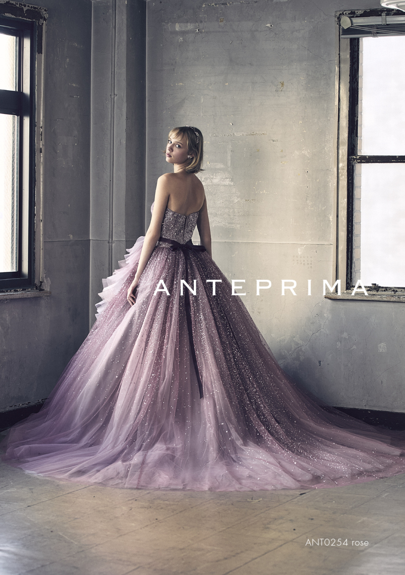 ANT0254-rose