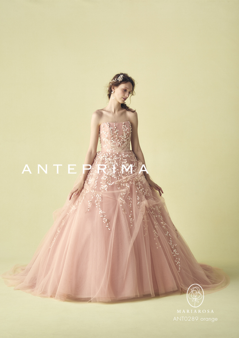 ANT0289-orange