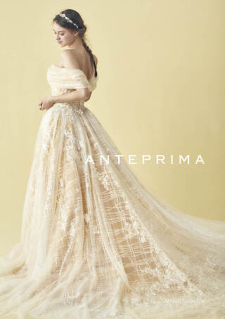 ANT0310-イエロー