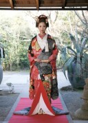 幔幕疋田松に鶴