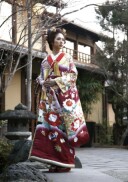 慶長牡丹宝鼓金