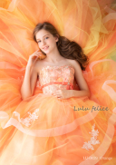 LU-0039 Orange