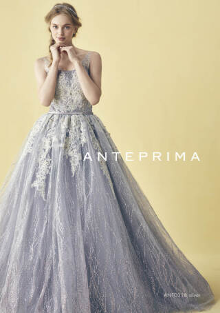 ANT0318-シルバー