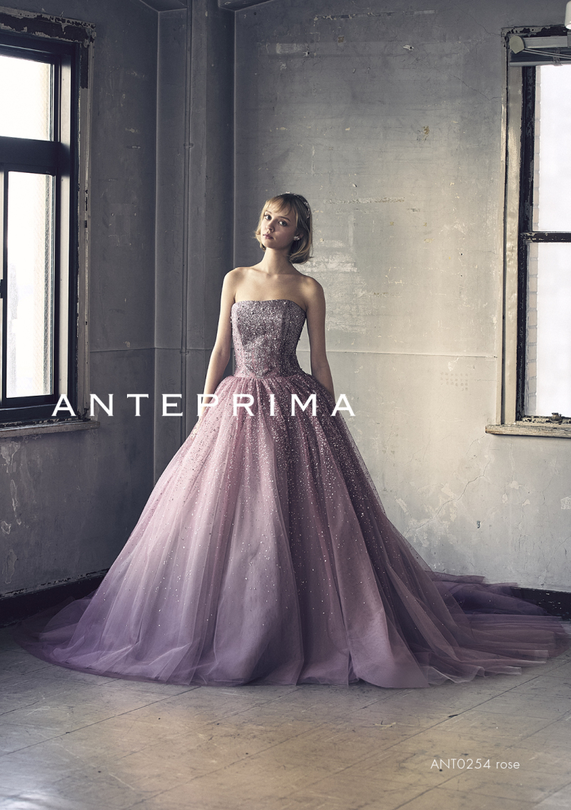 ANT0254-rose