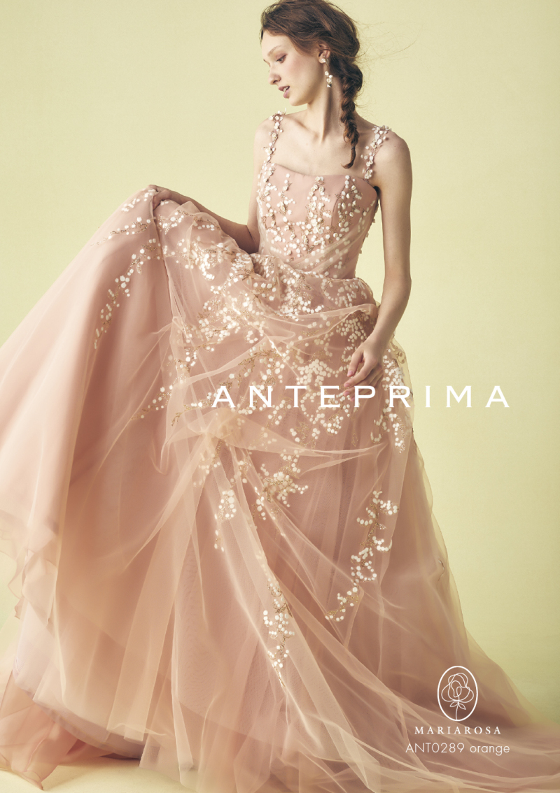 ANT0289-orange