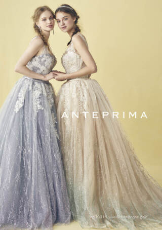 ANT0318-シャンパンゴールド