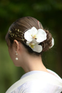 白色胡蝶蘭髪飾り