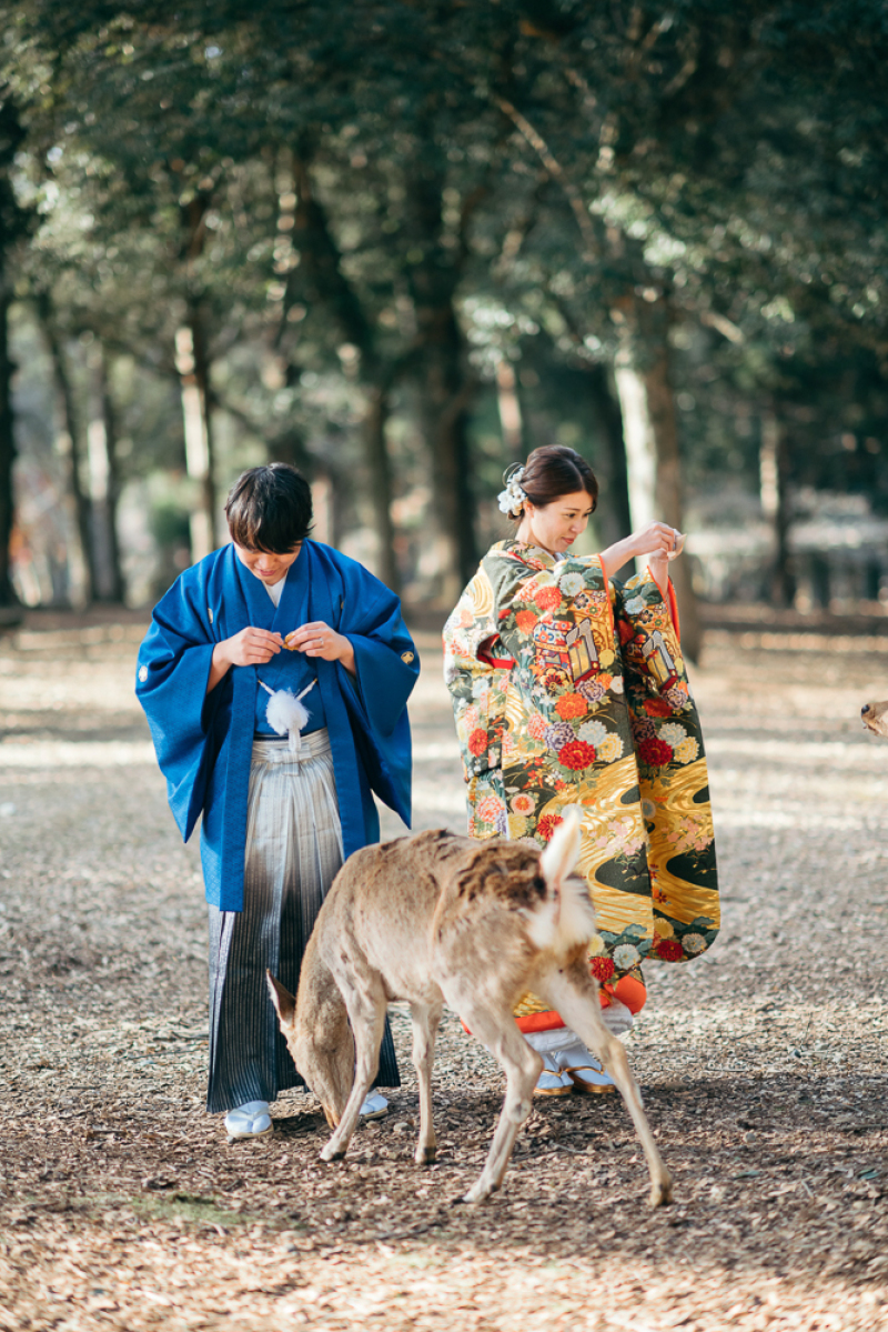 小鹿にえさやり