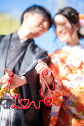 秋のライトプラン