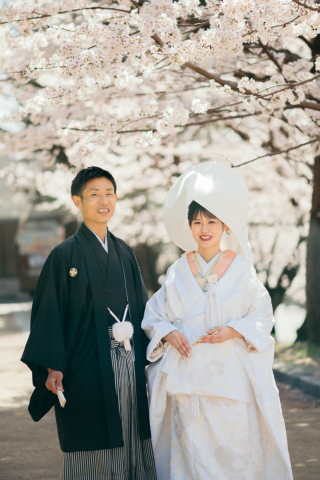 京都桜シーズン 和装1着プラン