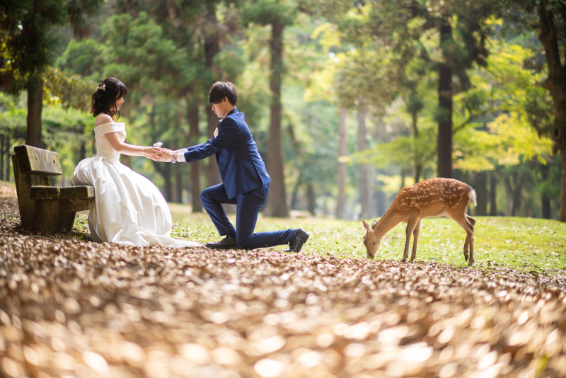 奈良で洋装ロケーション撮影