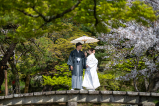 かわいい新婚夫婦様、新緑シーズン