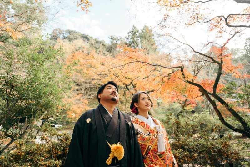 遠くを見つめて