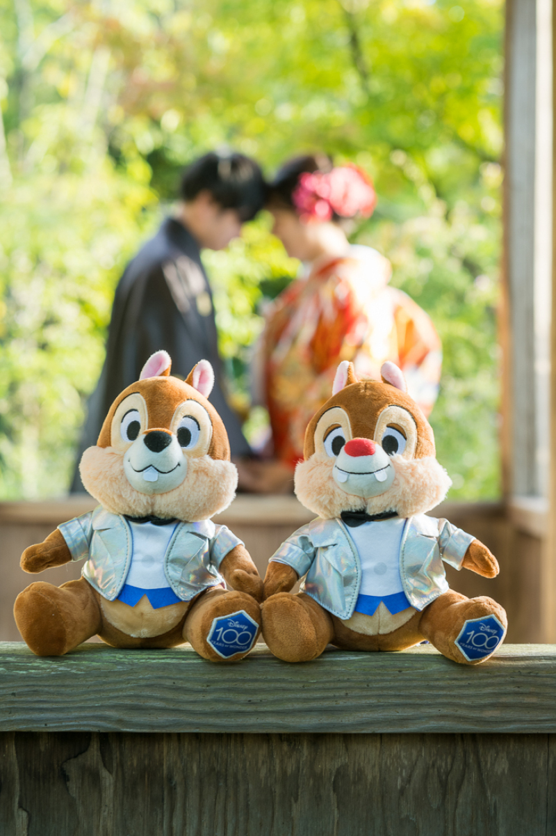 ぬいぐるみの座りポーズ