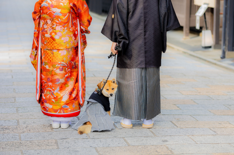 思い出を一緒に