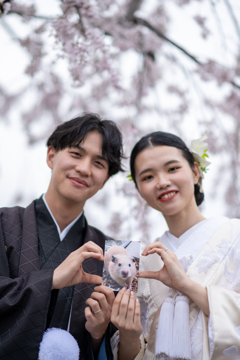 モルモットの写真