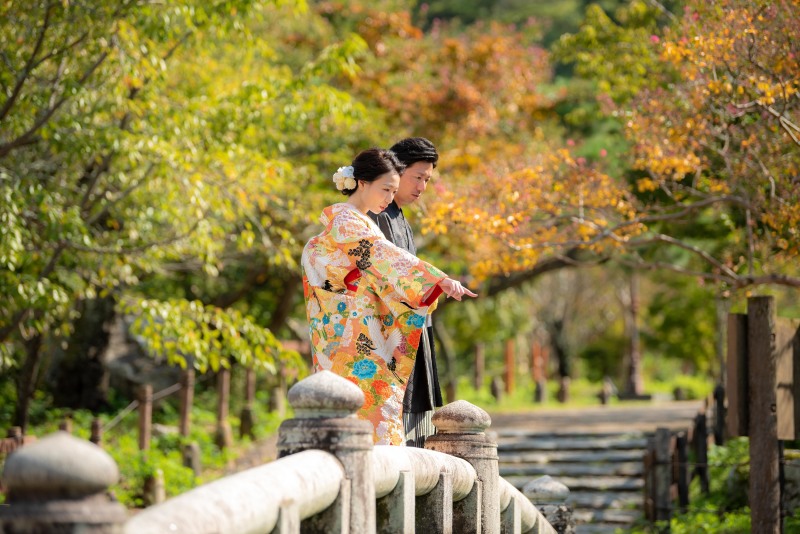 公園で自然風景