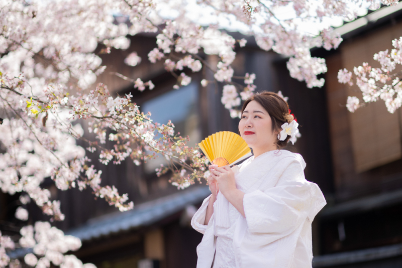 新婦様と桜