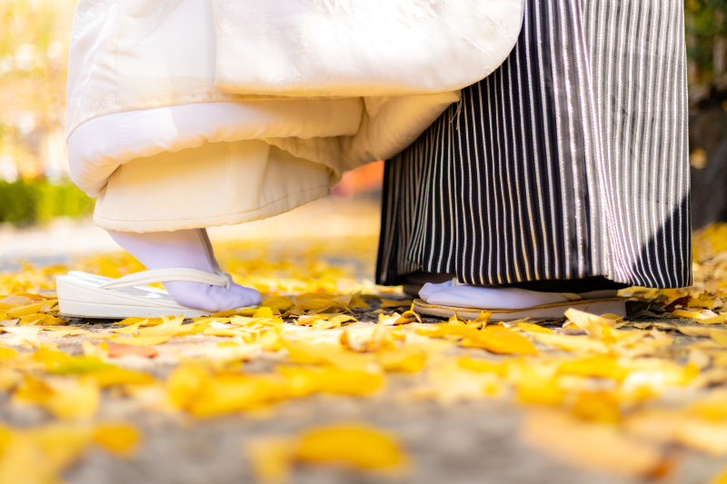 イチョウの絨毯