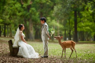 奈良公園で