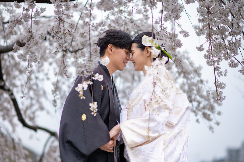 桜の下で前撮り