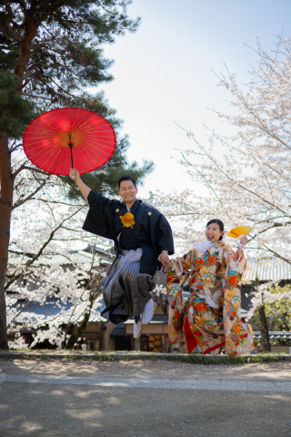 桜が咲いたら、写真を撮りに行こう