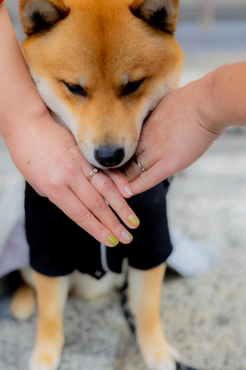 オフショットも可愛さ満点！