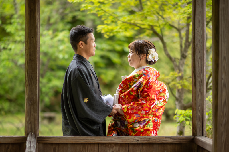 まるで絵のように