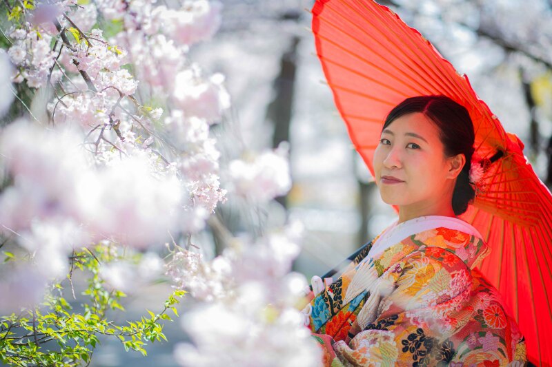 河津桜とソロショット