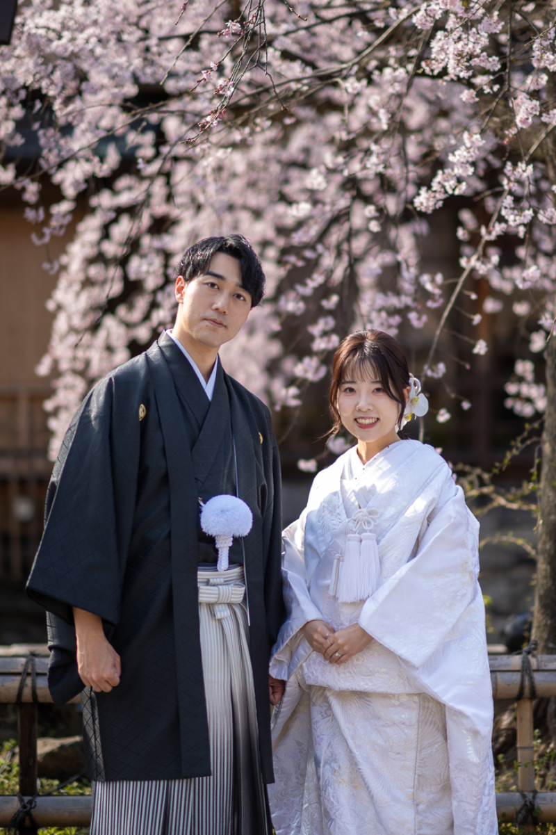 京都の寺院と桜