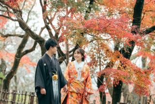 自然の公園で撮影しました