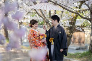 さくら穴場スポットで