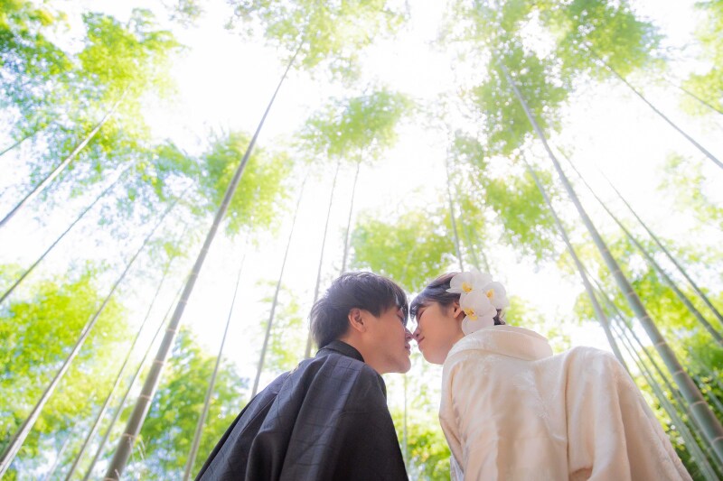 誰もいない竹林で…