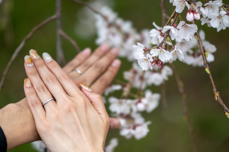桜と手