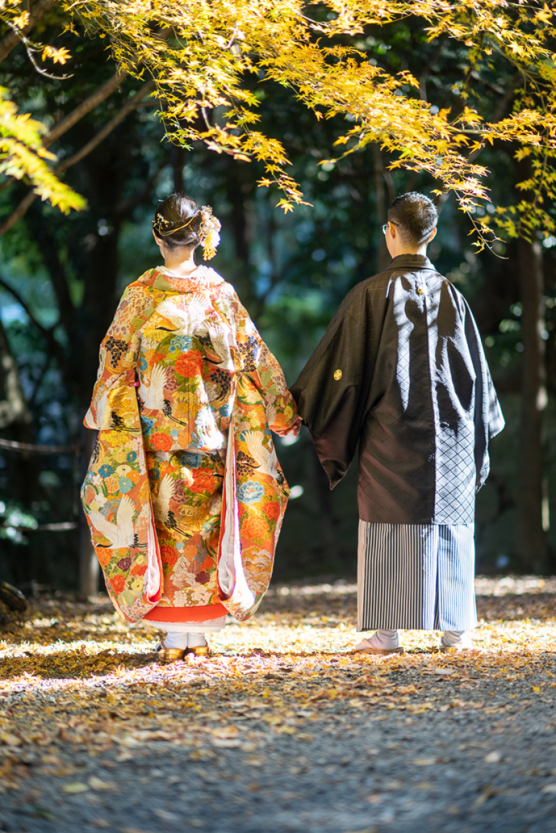 秋の京都の公園で撮影しました
