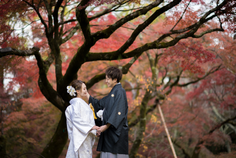 大きな木の下でロマンチックに