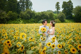 京都・奈良プレミアムプラン２DAY撮影（洋装１ひまわり）