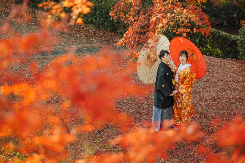 紅葉と和傘の華やぎ