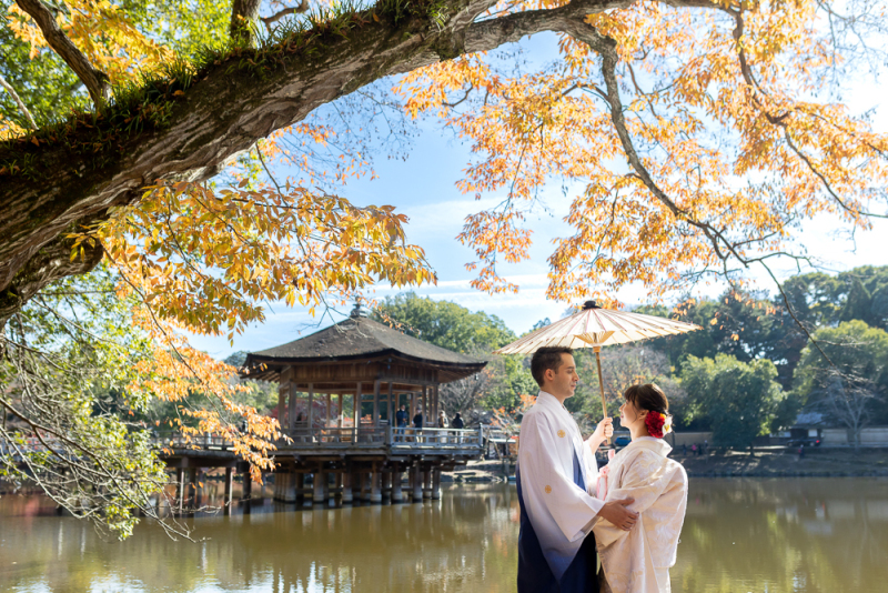 奈良で豪華に3着