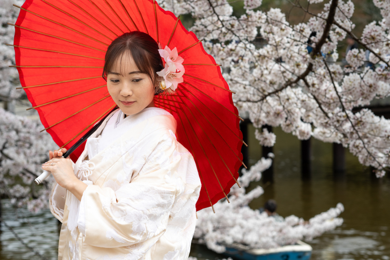 和装と桜