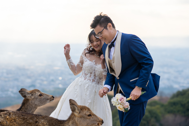 クローズアップ