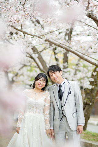 桜と洋装のウェディングフォト