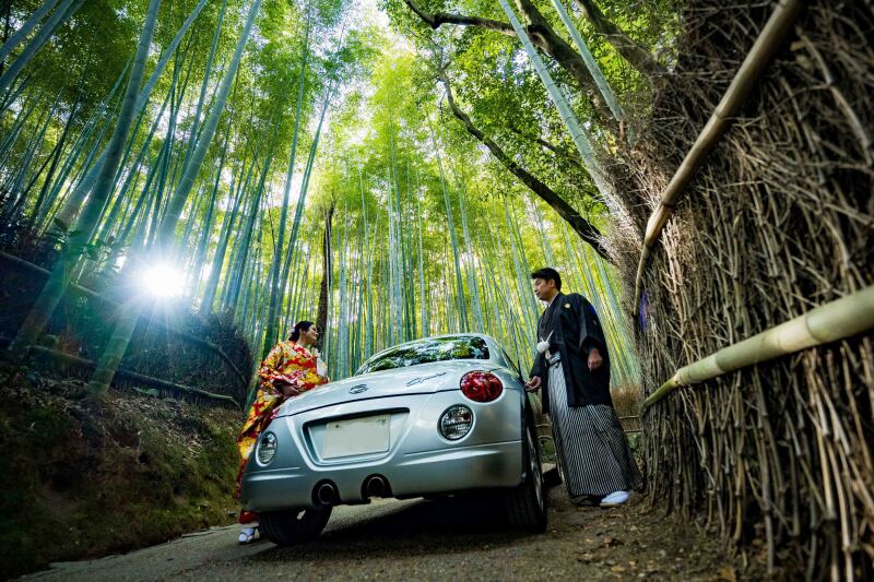 竹林の隙間から光がさしこんで