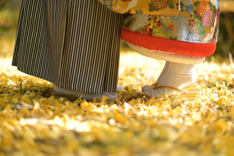 紅葉穴場スポットでは紅葉と銀杏のじゅうたんで撮影できお得です(^^♪